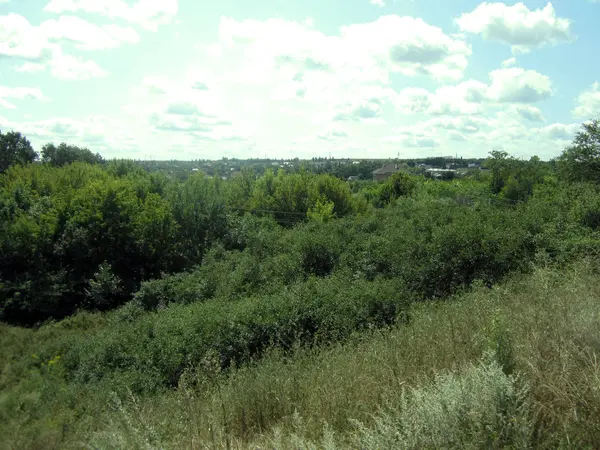 vahşi doğa manzara