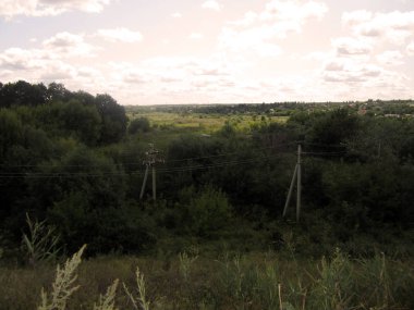 Yaz doğasının panoramik manzarası