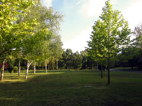 公園の空き地 — ストック写真