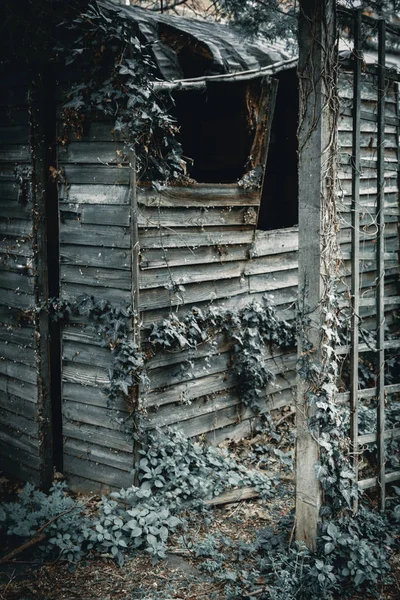 Antiguo cobertizo de madera rústico oscuro — Foto de Stock
