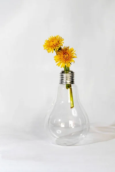 Glass Light Bulb Vase and Dandelions