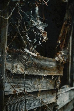 Örümcek ağları ve sarmaşık ile Ürkütücü Pencere