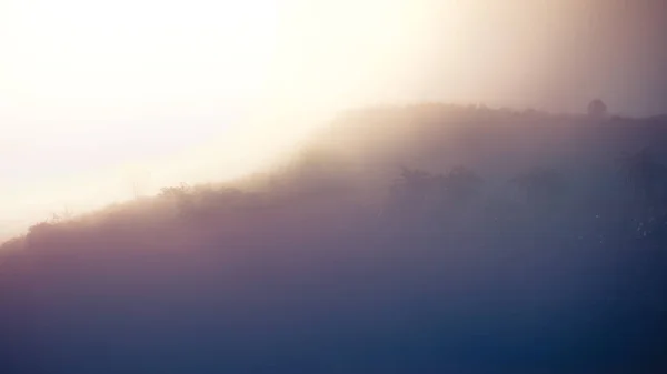 Landskap Skog Och Berg Bland Mist — Stockfoto