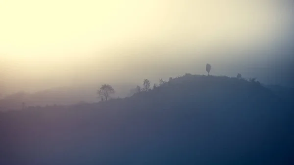 Paisaje Bosque Montañas Entre Niebla — Foto de Stock