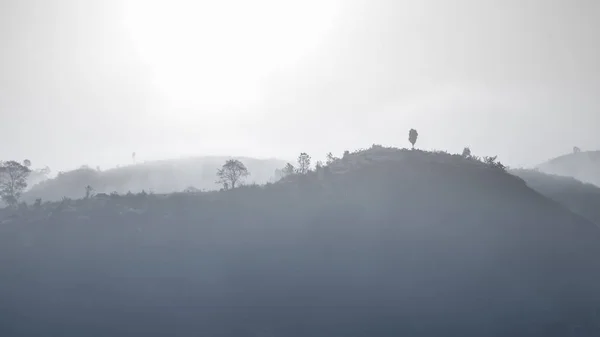 Krajobraz Las Góry Wśród Mgły — Zdjęcie stockowe