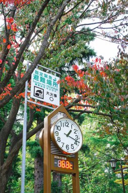 Saat Hokkaido Japonya sonbahar sezonu Maruyama Park'ta hava tahminleri için kule