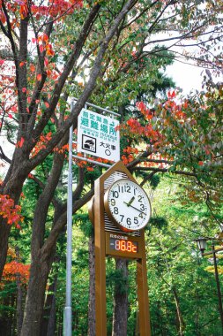 Saat Hokkaido Japonya sonbahar sezonu Maruyama Park'ta hava tahminleri için kule