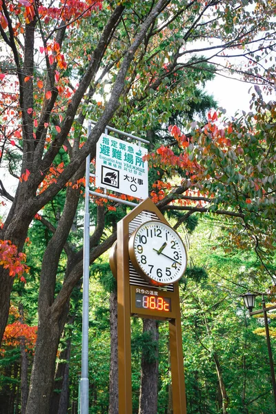 Saat Hokkaido Japonya sonbahar sezonu Maruyama Park'ta hava tahminleri için kule