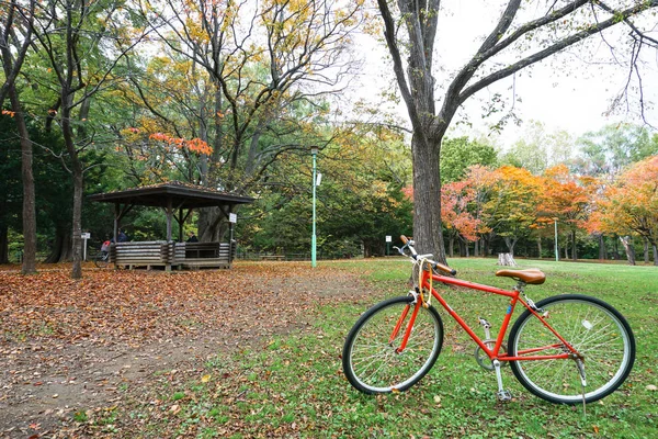 Bicicleta Temporada Outono Maruyama Park Hokkaido Japão — Fotografia de Stock