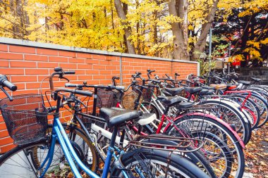 Park'ta Sonbahar sezonunda Bisiklet