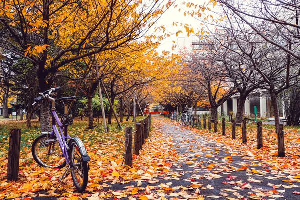 Bicicleta na temporada de outono no Parque — Fotografia de Stock