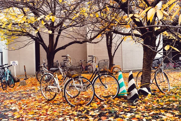 Bicicleta na temporada de outono no Parque — Fotografia de Stock