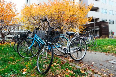 Park'ta Sonbahar sezonunda Bisiklet