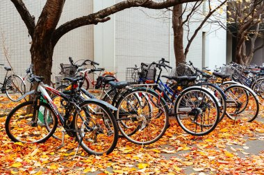 Park'ta Sonbahar sezonunda Bisiklet