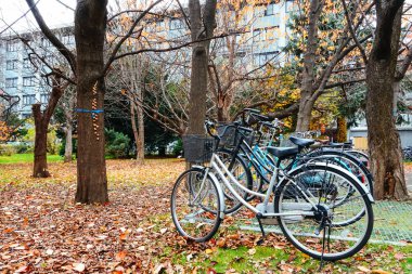 Park'ta Sonbahar sezonunda Bisiklet