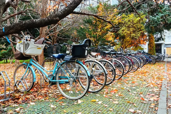 Bicicletta nella stagione autunnale al Parco — Foto Stock