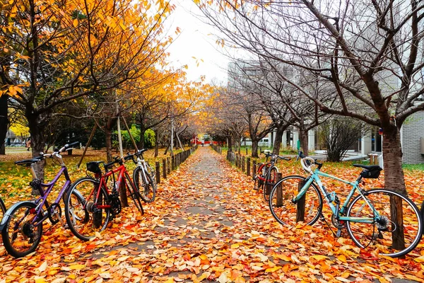 Bicicleta na temporada de outono no Parque — Fotografia de Stock