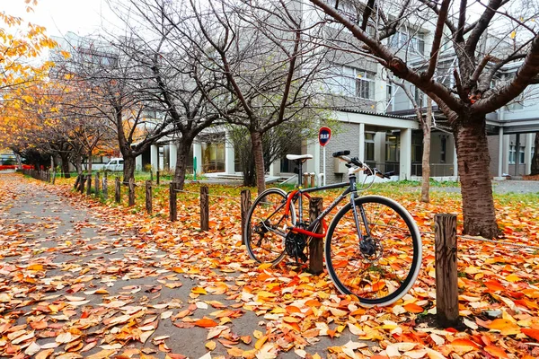 Bicicleta na temporada de outono no Parque — Fotografia de Stock