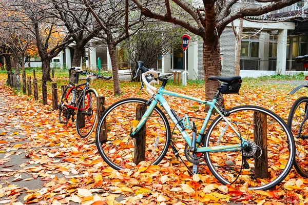 公園の秋の自転車 — ストック写真