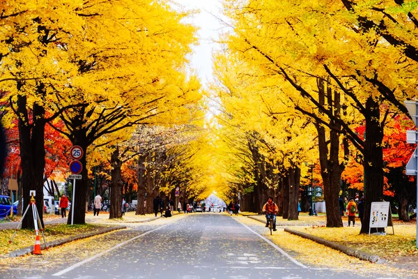 Herbstzeit der Bäume und Blätter — Stockfoto