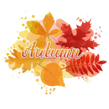 Sonbahar yaprakları ve yazı ile renkli sonbahar arka plan Vektör illüstrasyon. Suluboya dokusu. Şükran Günü tasarımı. Banner için şablon, tebrik kartpostalı, sonbahar satışı, web banner şablonu.