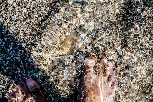 Unas Medusas Vagaban Por Orilla Del Mar — Foto de Stock