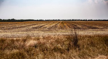 Peyzaj alanları arka plan. Mavi gökyüzü güneşli..