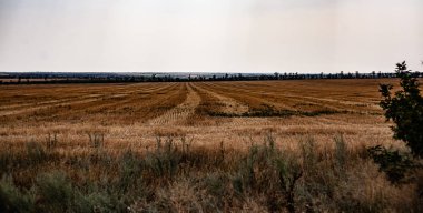 Peyzaj alanları arka plan. Mavi gökyüzü güneşli..