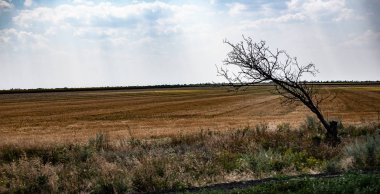 Peyzaj alanları arka plan. Mavi gökyüzü güneşli..