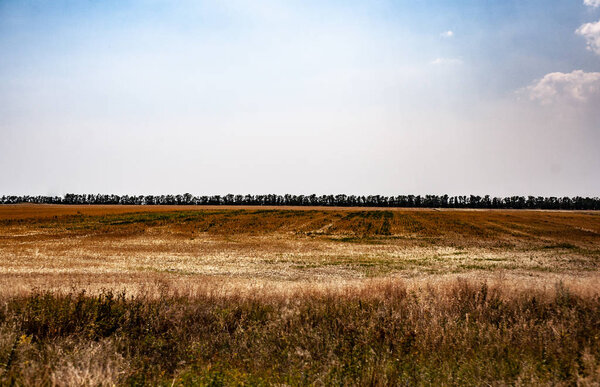 Landscape fields background. The blue sky is sunny.