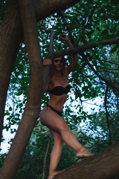 Pretty model in a black bikini swimsuit. On a tree on an island.