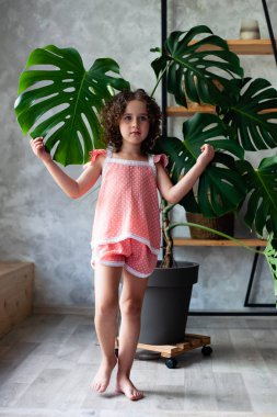 Monstera'lı küçük kız modeli. Monstera yaprakları ile küçük bir kız portresi.