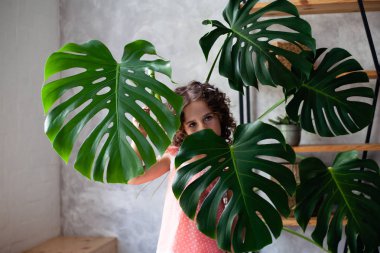 Monstera'lı küçük kız modeli. Monstera yaprakları ile küçük bir kız portresi.
