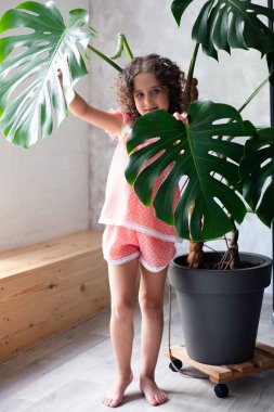 Monstera'lı küçük kız modeli. Monstera yaprakları ile küçük bir kız portresi.