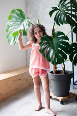 Monstera'lı küçük kız modeli. Monstera yaprakları ile küçük bir kız portresi.