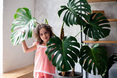 Monstera'lı küçük kız modeli. Monstera yaprakları ile küçük bir kız portresi.