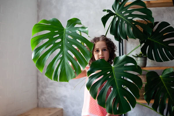 Little girl model with monstera. Portrait of a little girl with monstera leaves.