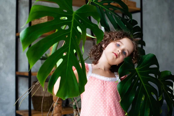 Little girl model with monstera. Portrait of a little girl with monstera leaves.