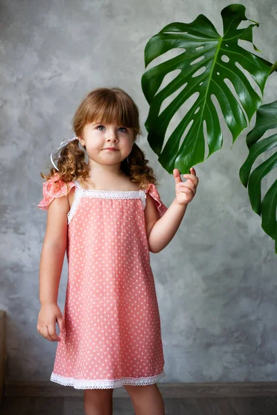 Modèle Petite Fille Avec Monstera Portrait Une Petite Fille Aux — Photo