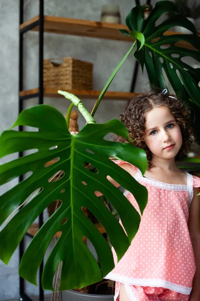 Little girl model with monstera. Portrait of a little girl with monstera leaves.