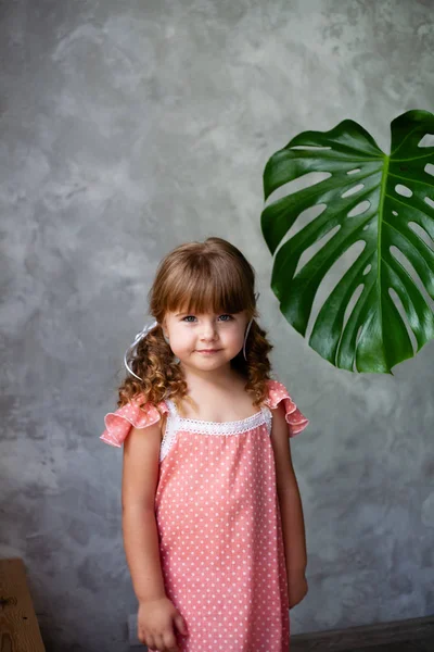 Little girl model with monstera. Portrait of a little girl with monstera leaves.