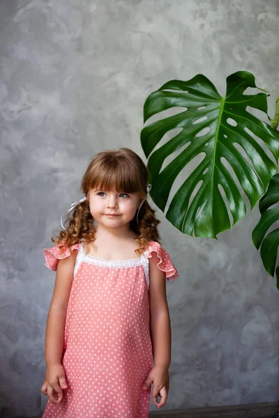 Modèle Petite Fille Avec Monstera Portrait Une Petite Fille Aux — Photo