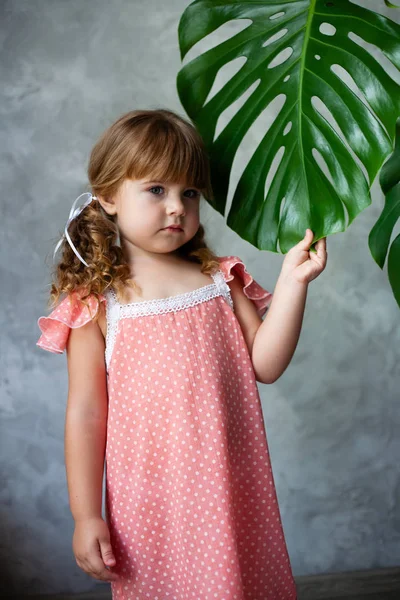 Modèle Petite Fille Avec Monstera Portrait Une Petite Fille Aux — Photo