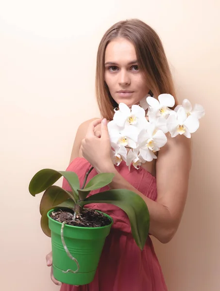 Portret Van Een Mooi Meisje Met Een Orchidee Een Lichte — Stockfoto
