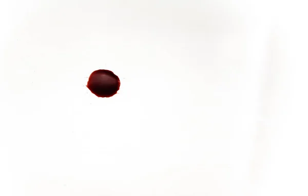 白色背景上的血迹白色背景上滴落和溅起鲜血 — 图库照片