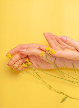 El sanatları, doğal kozmetik kadınları, sarı güzel kadınlar, bahar çiçekleri, parlak kontrast makyajlı eller, el bakımı. Moda, yaratıcı fotoğrafçı kız masada oturuyor, sarı zıt arkaplan. Yukarıdan bak, yakın plan..