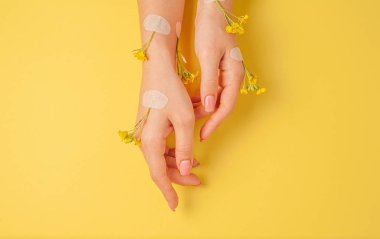 El sanatları, doğal kozmetik kadınları, sarı güzel kadınlar, bahar çiçekleri, parlak kontrast makyajlı eller, el bakımı. Moda, yaratıcı fotoğrafçı kız masada oturuyor, sarı zıt arkaplan. Yukarıdan bak, yakın plan..