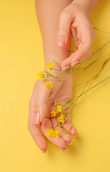 Manos Arte Flor Cosméticos Naturales Mujeres Amarillo Hermoso Flores Primavera — Foto de Stock