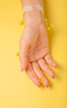 El sanatları, doğal kozmetik kadınları, sarı güzel kadınlar, bahar çiçekleri, parlak kontrast makyajlı eller, el bakımı. Moda, yaratıcı fotoğrafçı kız masada oturuyor, sarı zıt arkaplan. Yukarıdan bak, yakın plan..
