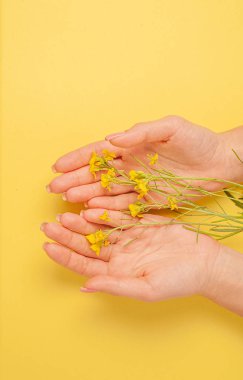 El sanatları, doğal kozmetik kadınları, sarı güzel kadınlar, bahar çiçekleri, parlak kontrast makyajlı eller, el bakımı. Moda, yaratıcı fotoğrafçı kız masada oturuyor, sarı zıt arkaplan. Yukarıdan bak, yakın plan..